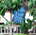 Kort - Today i will choose Joy